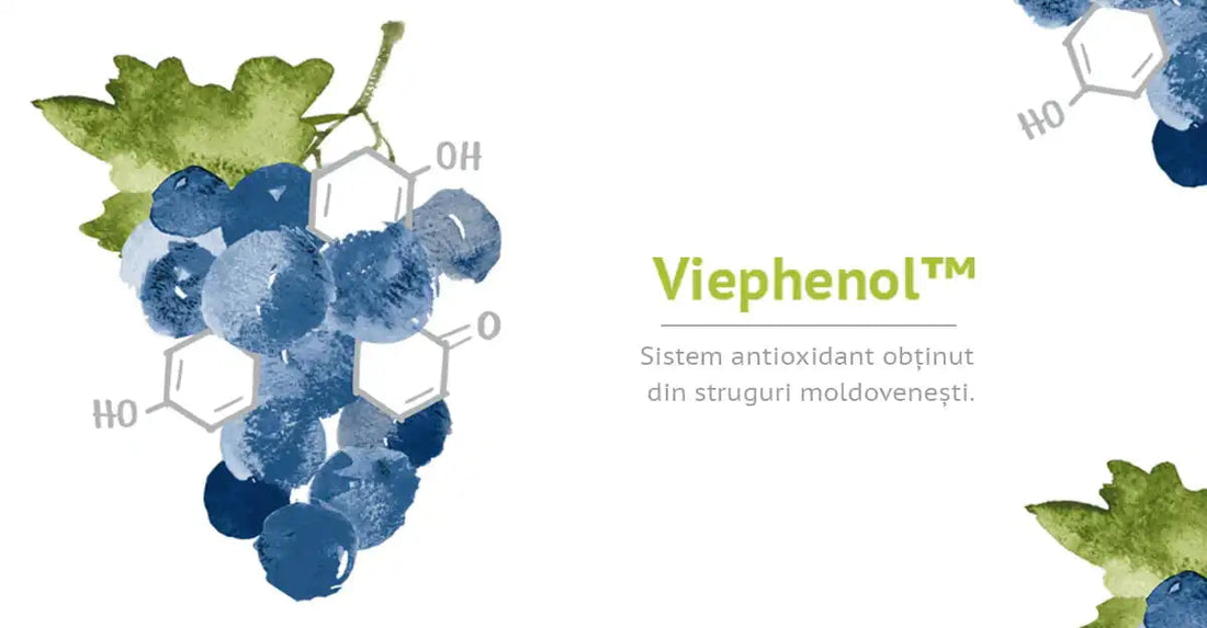 Viephenol - un complex de antioxidanți uimitori, ce te ajută să reduci liniile fine și ridurile