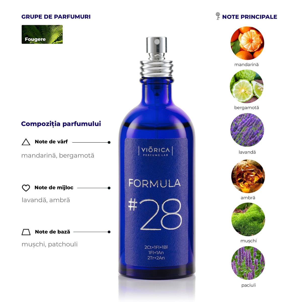 Apă de Parfum FORMULA #28 pentru bărbați