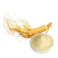 Extract de ginseng