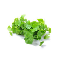 Extract de centella asiatica